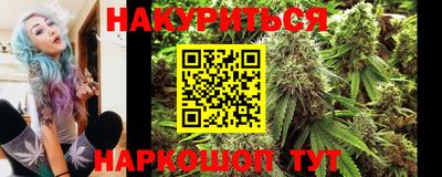 МДПВ Будённовск