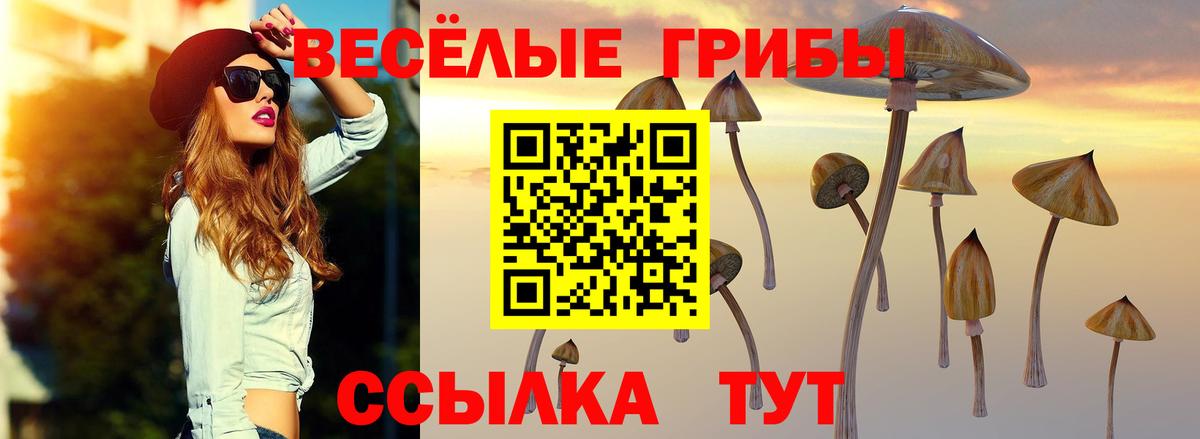 Одинцово  Галлюциногенные грибы ЛСД  Галлюциногенные грибы прущие грибы  цены   Вход с VPN 